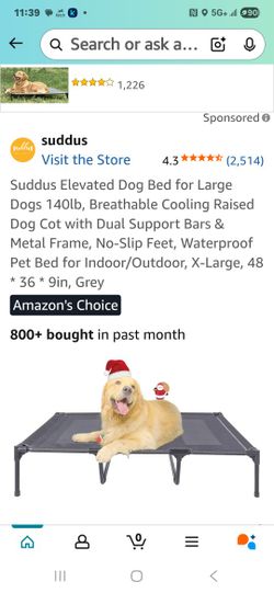 Elevate  dog Bed