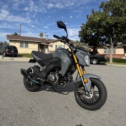 2022 Kawasaki Z125 PRO