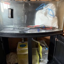 72G Bow Front Aquarium