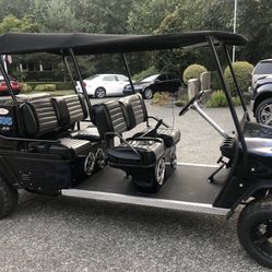 Custom Golf Cart 6 Seater