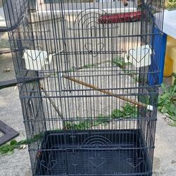 Bird Cages 