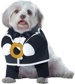 🎉HALLOWEEN DOG COSTUMES 🐕🐕🐕