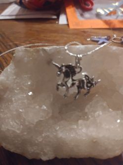 I have a Beautiful Unicorn Necklace