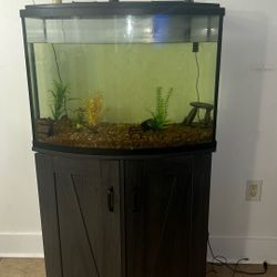 Fish Aquarium 