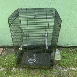 Bird Cage