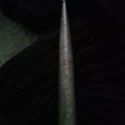 Base Ball Bat 