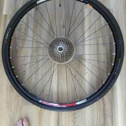 Bontrager