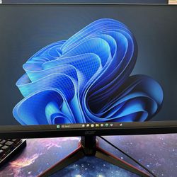Acer VG240Y Gaming Monitor