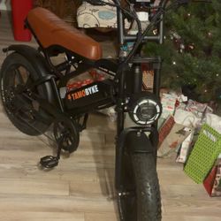 Tamobyke E-bike 