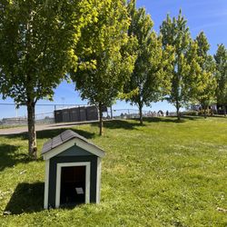 Outdoor Doghouse 