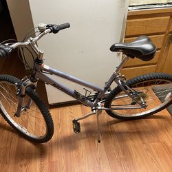 Nishiki bike frame 17” tires 26”