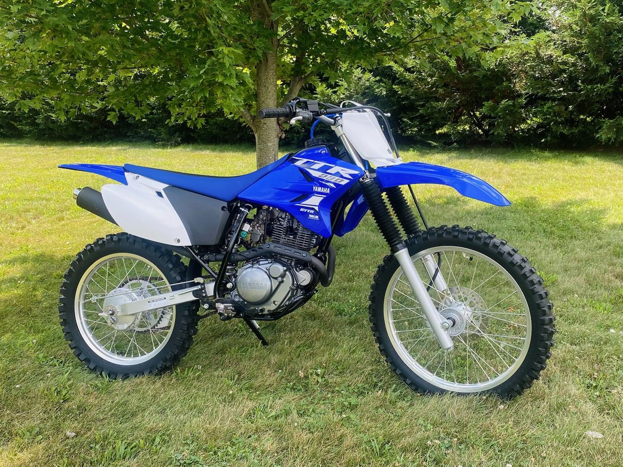 2019 Yamaha TTR230