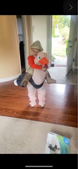 Kids Inflatable Ride-On Ostrich Costume