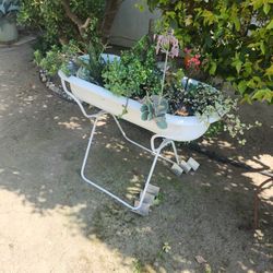 White Stand With Different Types Of Plants 