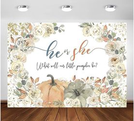 Gender Reveal Backdrop