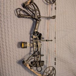 Bear Cruzer G4