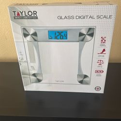 Glass Digital Scale 