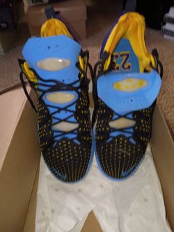 Nike LeBron 9 “Summit Lake Hornets” 
