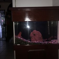 Clear For Life Fish Tank