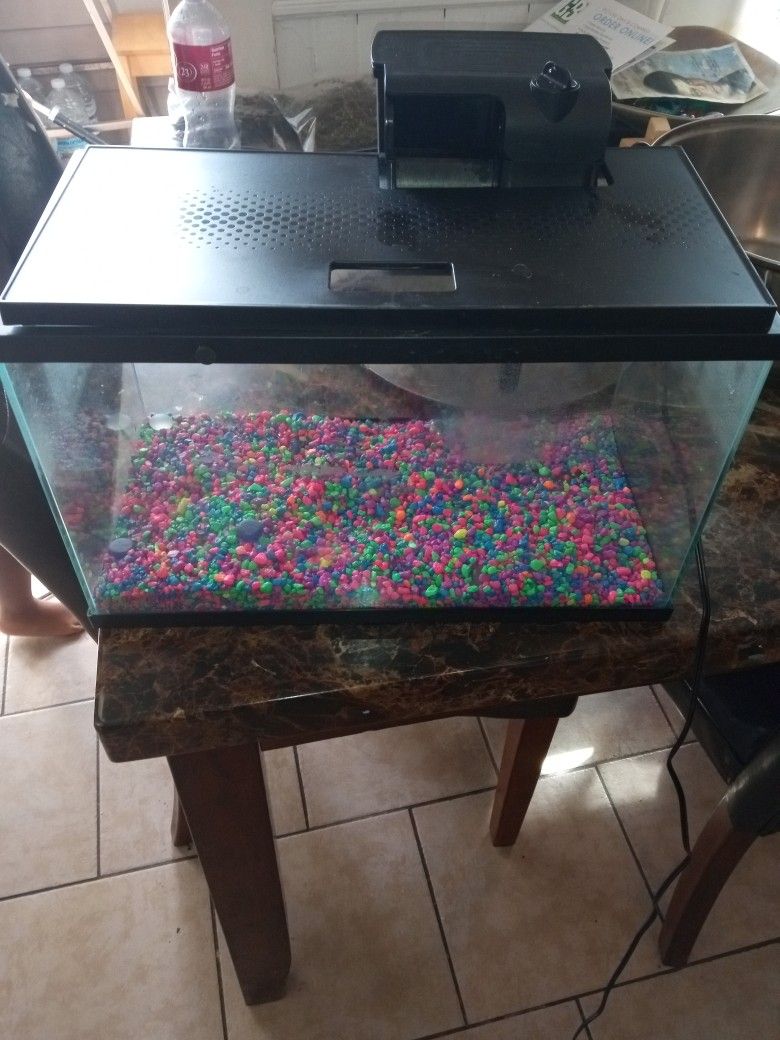 5 Gallon Fish Tank With Filter