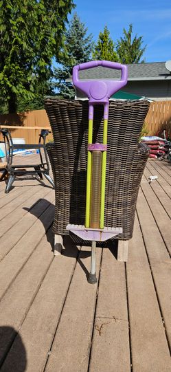 Pogo stick