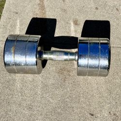 SINGLE DUMBELL 50 lbs.  💪