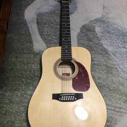 Rogue 12 String Acoustic Guitar.