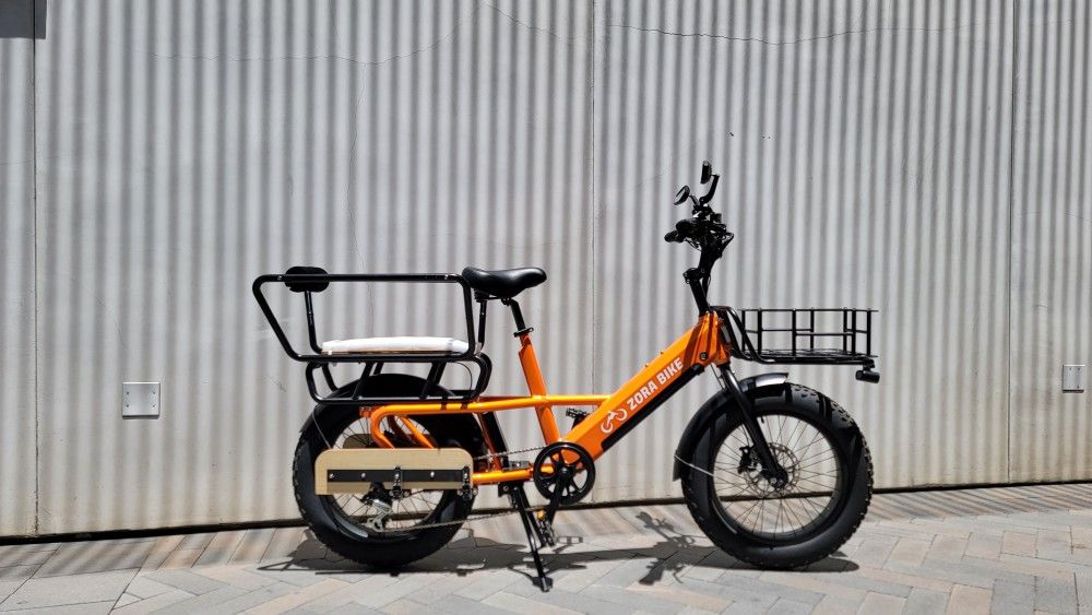 Cargo Ebike - Fully Loaded