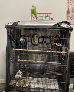 Bird cage