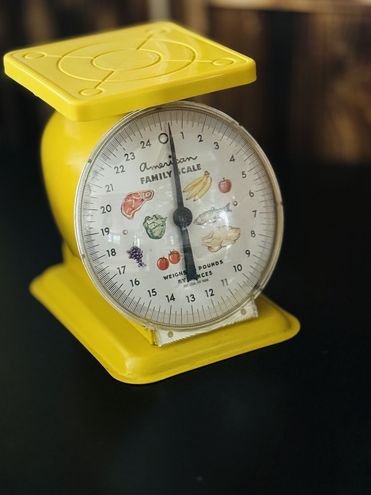1960's American Family Scale