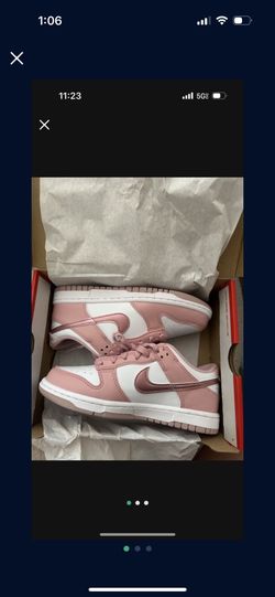 Brand New Dunks 5.5y
