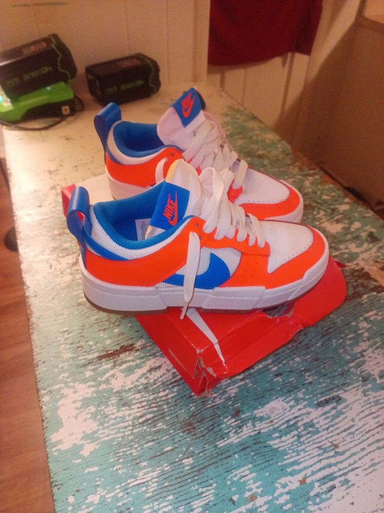 Nike Dunks Low 