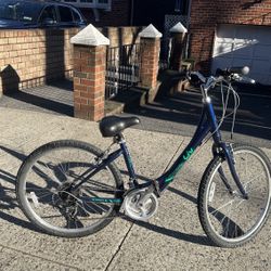 2020 Liv Sedona W Comfort Bicycle Review - Frugal Average Bicyclist