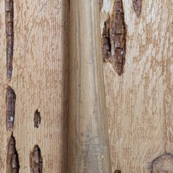 1950s Spalding Ferris Fain Model Bat