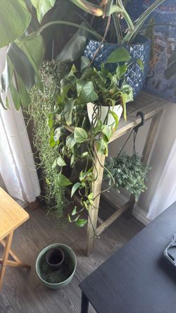 Outdoor Table / Table for Indoor Plants
