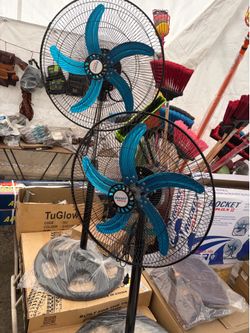 Fan