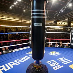Dripex Freestanding Punching Bag