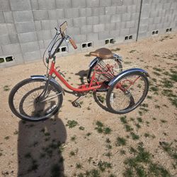 Adult Trike Bike