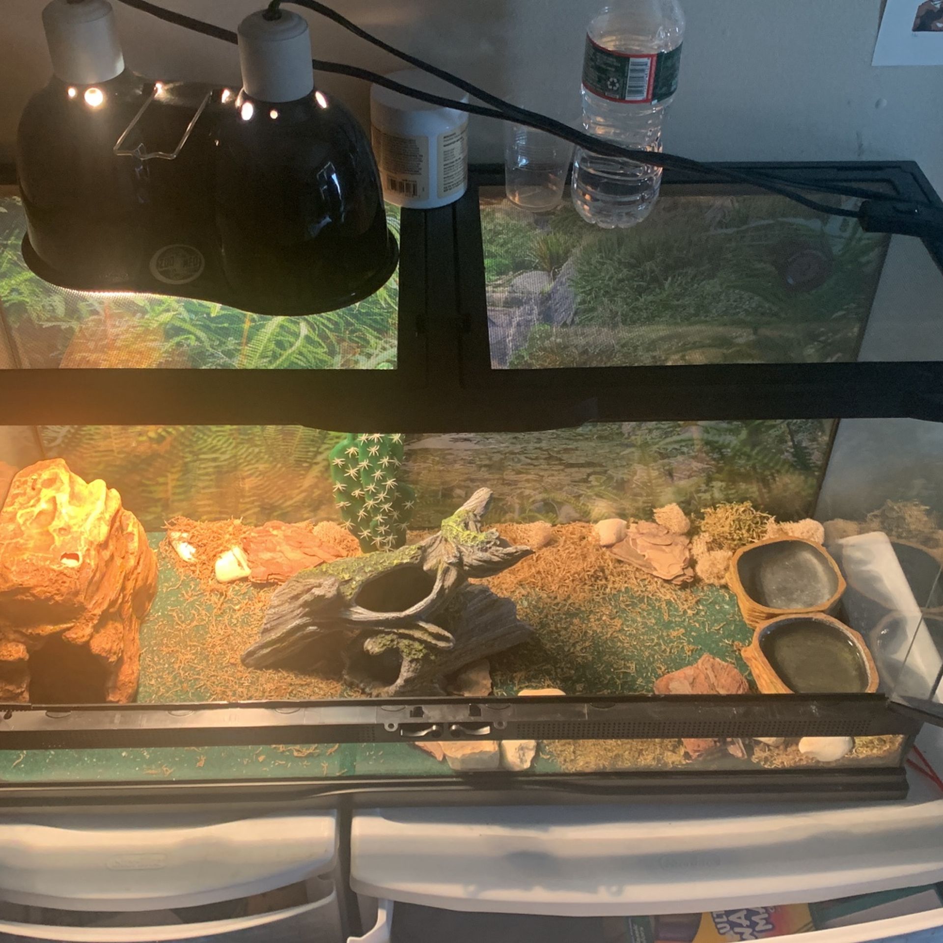 25 Gallon Reptile Tank