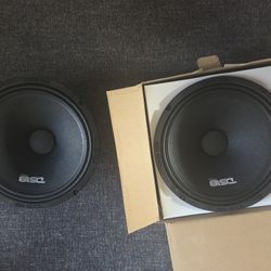 2 DS 18 Pro 10" Midrange Loudspeaker