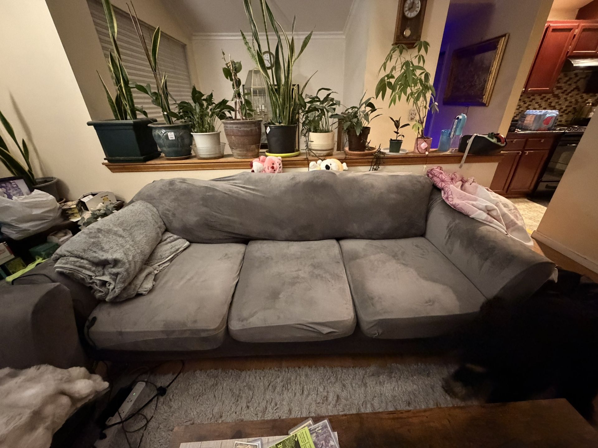 Two Couch Set