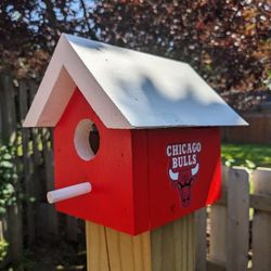 Chicago Bulls Bird House 