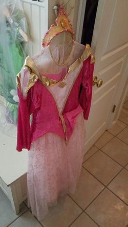 Princess Aurora costume...and tinker bell costume