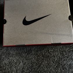 Jordan 12 taxi size 11