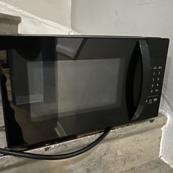 echo dot + AmazonBasics Microwave Oven 