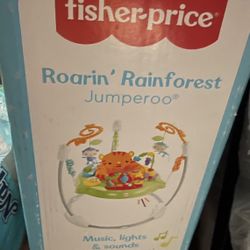 Brand New In Box Jumperoo