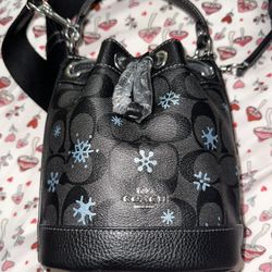 BRAND NEW Coach Bag 