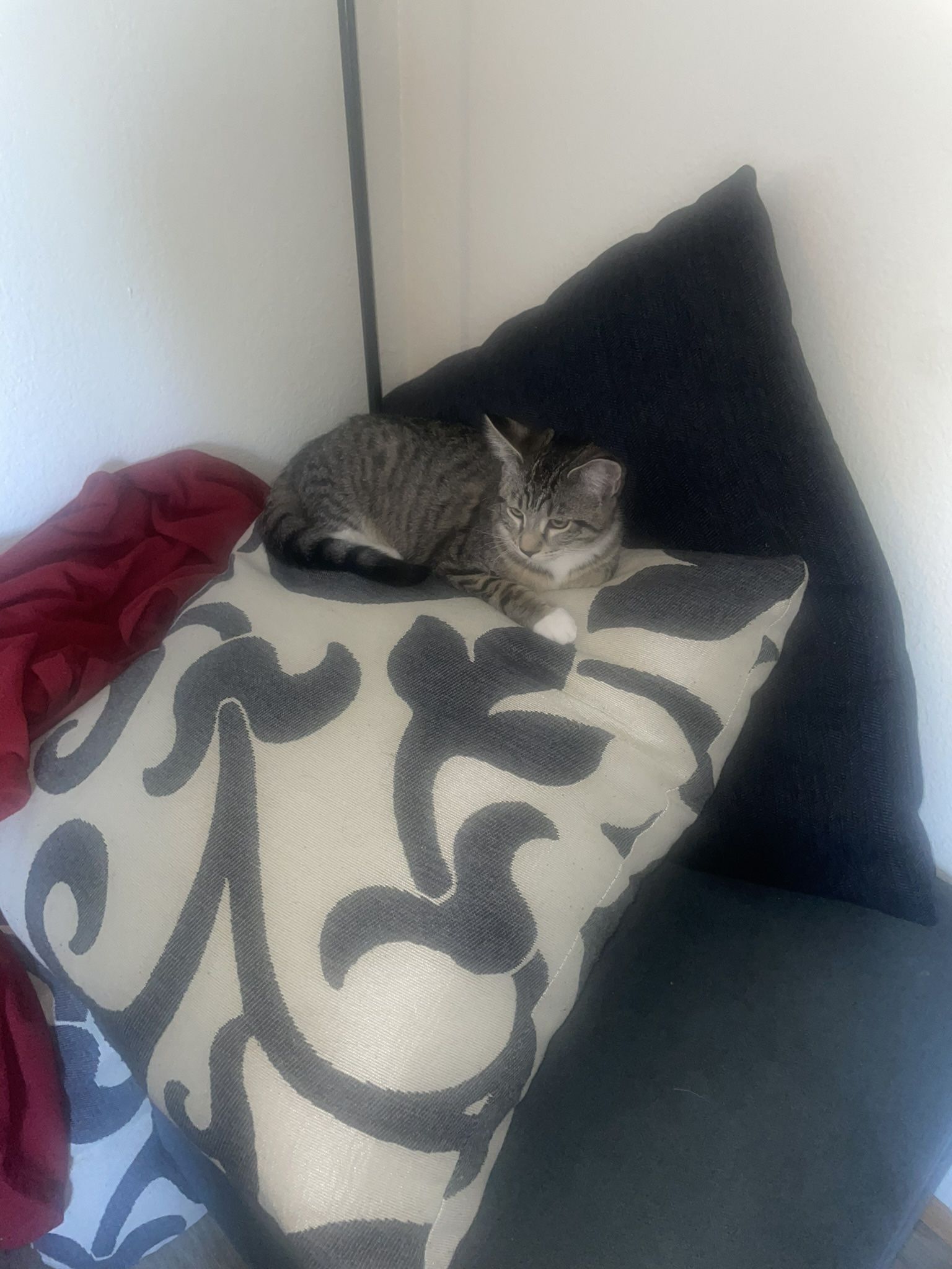 Sofa/couch