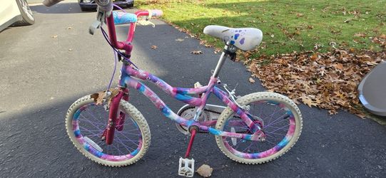 Free Beginner Bicycle