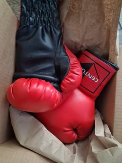 Boxing gloves